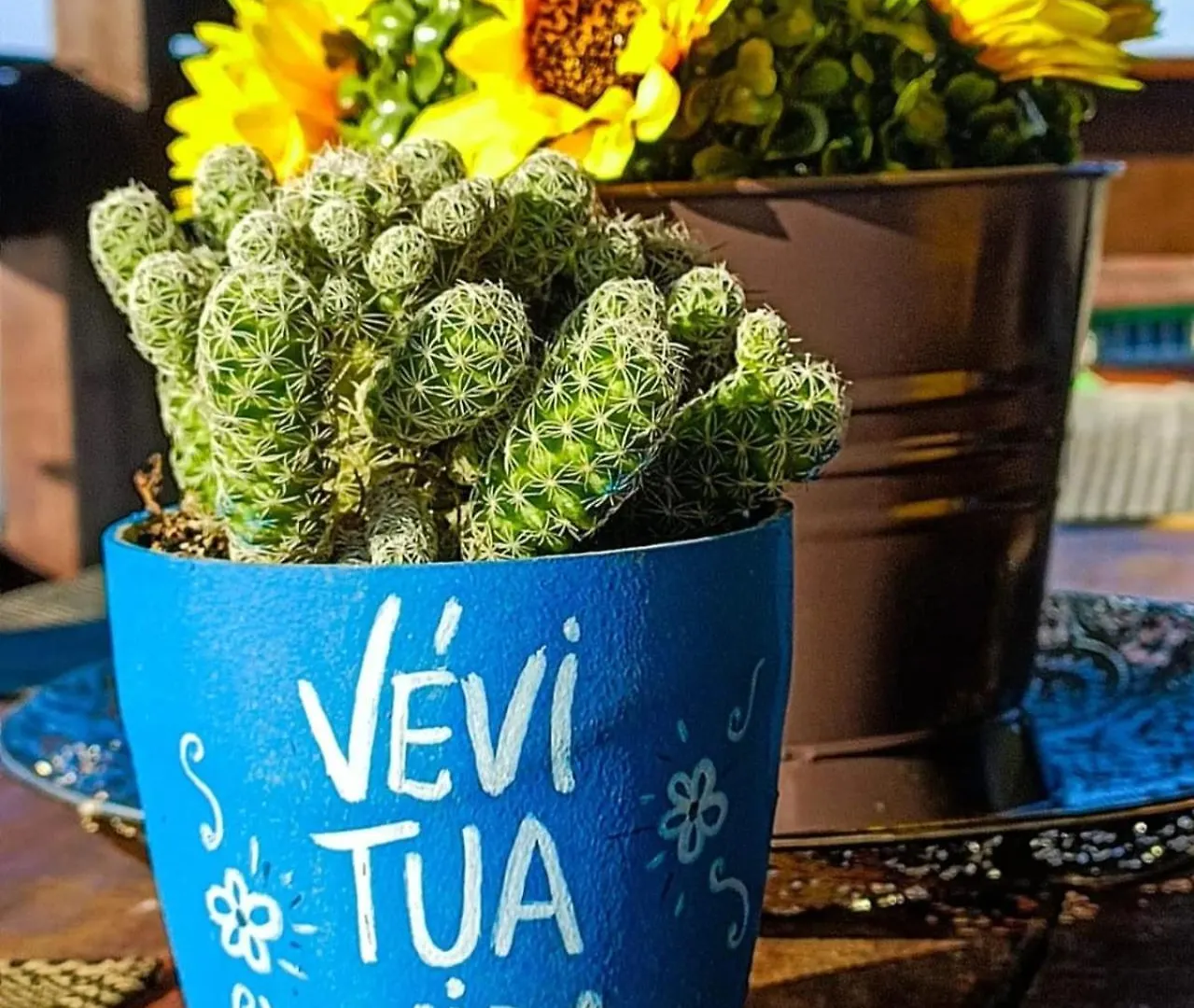 אורחן סן פרנסיסקו דו סול Pousada Vida Simples